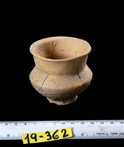 Carinated Bowl (twice)
Photographer:Yolovitch Yael