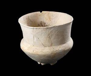 Carinated Bowl (twice)
Photographer:Yolovitch Yael