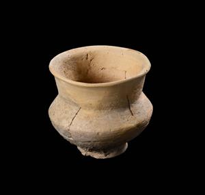 Carinated Bowl (twice)
Photographer:Yolovitch Yael