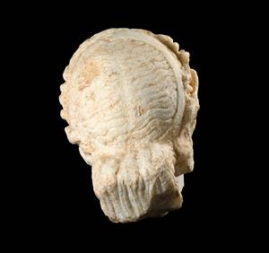 Head Statue Semi-Divine/Divine Figure
Photographer:Yolovitch Yael