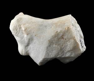 Fragment Statue Zoomorphic
Photographer:Yolovitch Yael