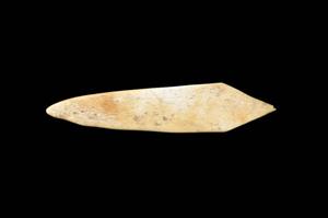 Spatula
Photographer:Yolovitch Yael