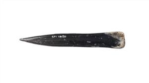 Awl
Photographer:Yolovitch Yael