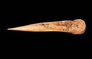 Awl
 Photographer:Yolovitch Yael