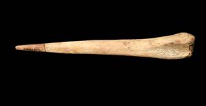 Awl
 Photographer:Yolovitch Yael
