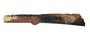 Fragment Sickle
Photographer:Yolovitch Yael