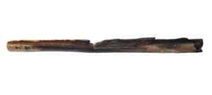 Fragment Sickle
Photographer:Yolovitch Yael