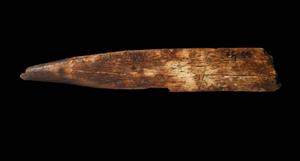 Fragment Sickle
Photographer:Yolovitch Yael