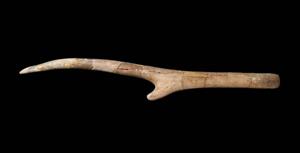Worked Horn Incised
Photographer:Yolovitch Yael