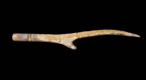Worked Horn Incised
 Photographer:Yolovitch Yael
