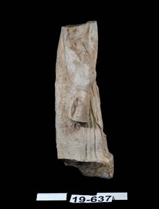 Leg Statue Female Figure
Photographer:Yolovitch Yael