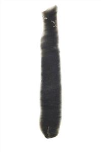 Bladelet
Photographer:ostrovski ivgen