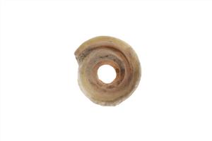 Bead (pierced shell)
 Photographer:ostrovski ivgen