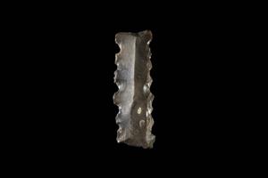 Sickle Blade Denticulated
 Photographer:ostrovski ivgen